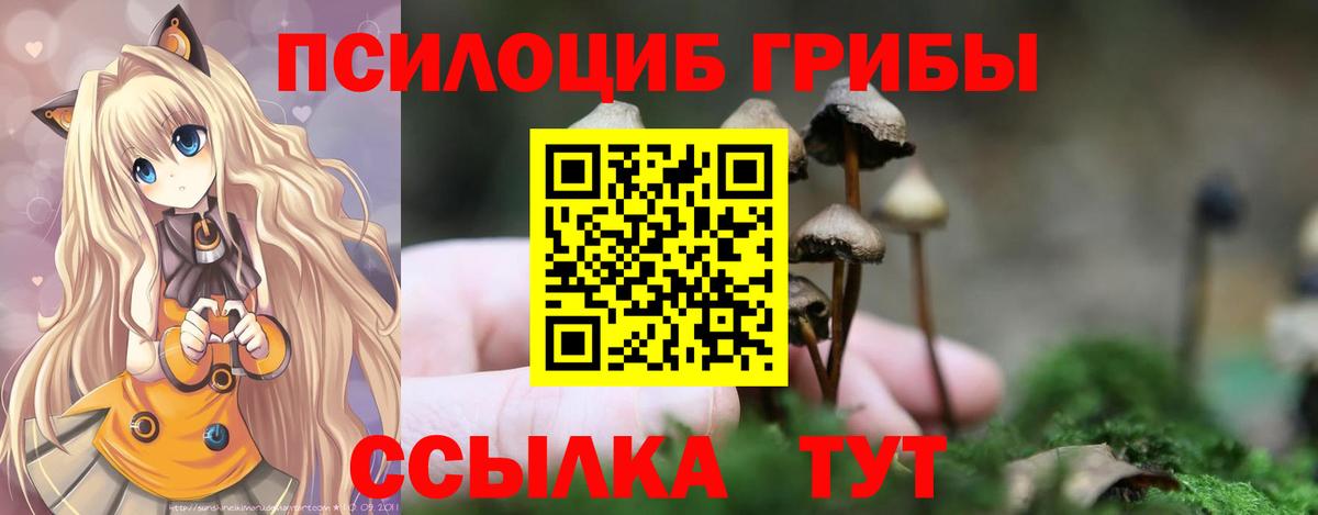 Псилоцибиновые грибы Magic Shrooms  Вход с VPN  Асбест 