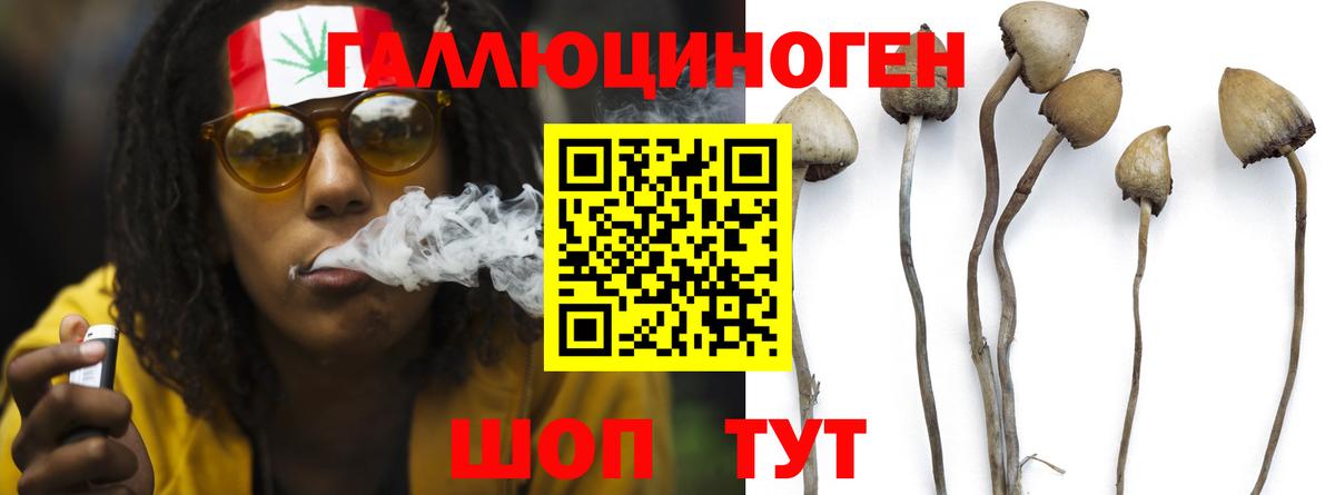 Галлюциногенные грибы прущие грибы Асбест
